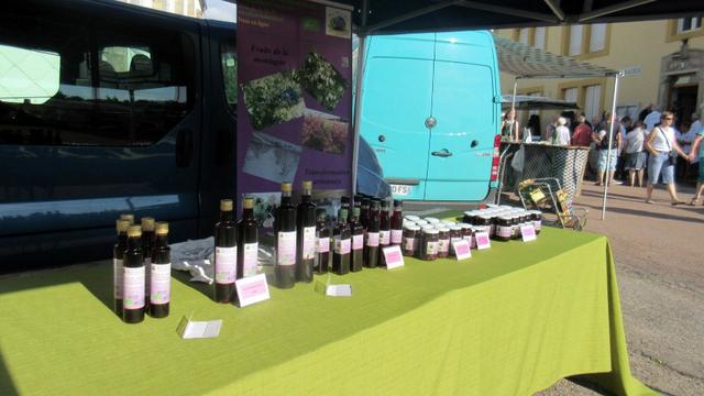 Marche d ete Epinette 026 (Large) (Small)