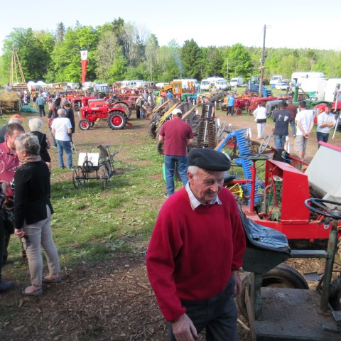 VM DIM 2017 (80) (Small)