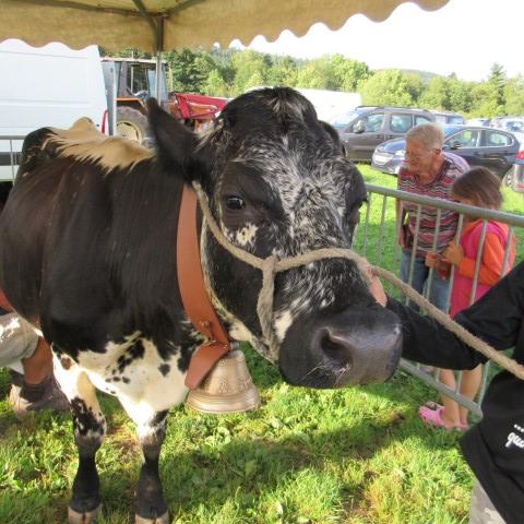 La belle vosgienne (4) (Small)