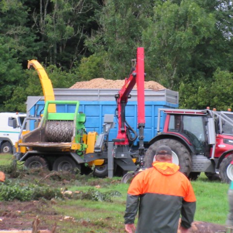 Exploitation mecanique de la foret (78) (Small)