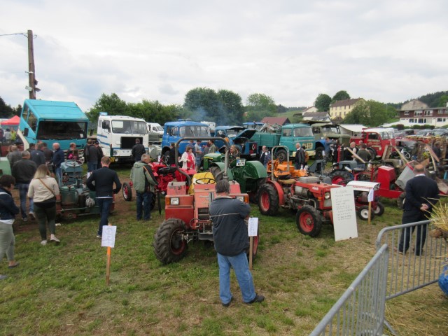 VM Dimanche  (75) (Small)