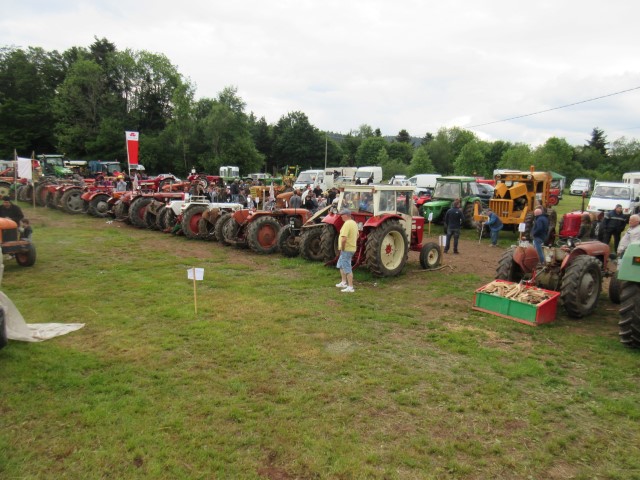 VM Dimanche  (79) (Small)