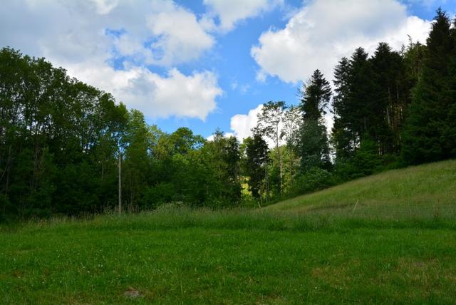 MP Claudine (10) (Small)