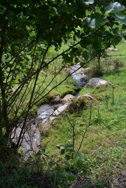 MP Claudine (16) (Small)