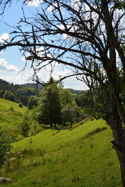 MP Claudine (17) (Small)