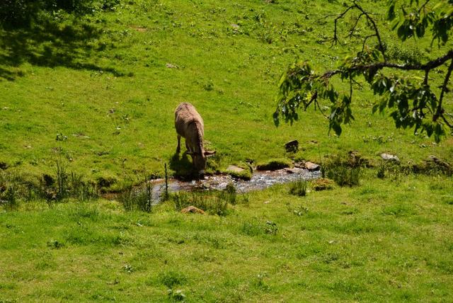 MP Claudine (18) (Small)