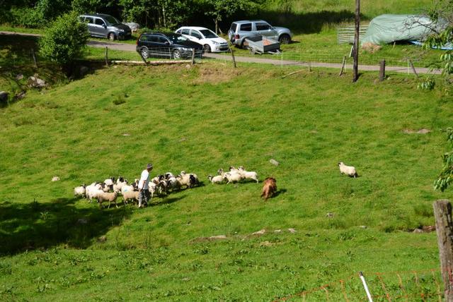 MP Claudine (32) (Small)