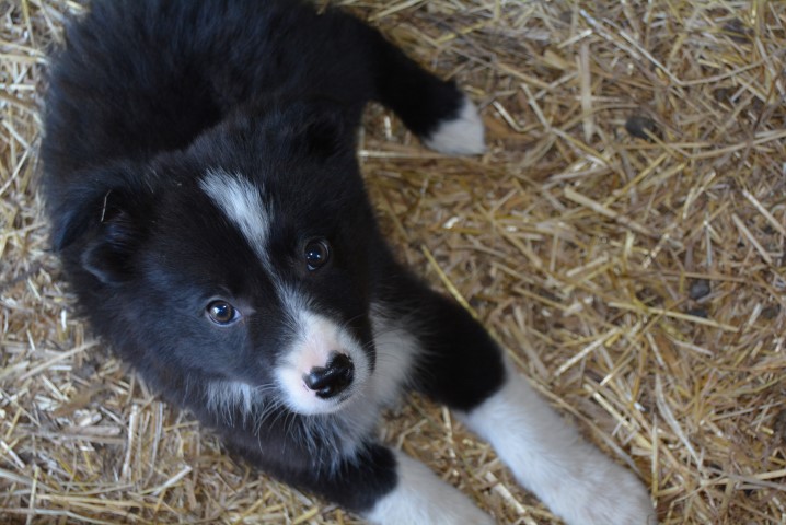 MP Claudine (40) (Small)