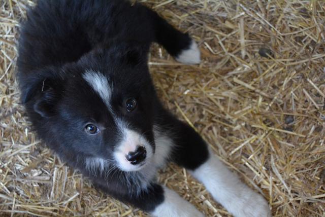 MP Claudine (40) (Small)