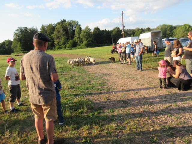 3 Laine filage broderie tissage (50) (Small)