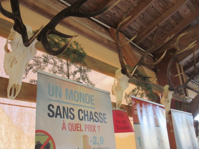 Marche d ete La chasse (33) (Small)