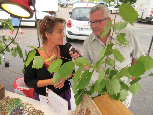 Bluet plantes et miel (50) (Small)