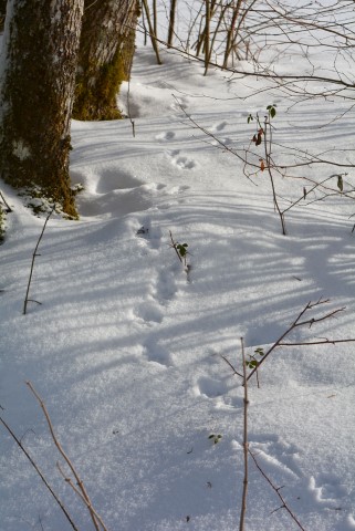 Claudine 2019 (36) (Small)