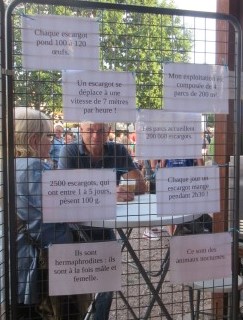 IMG_0795 (Small) (2)