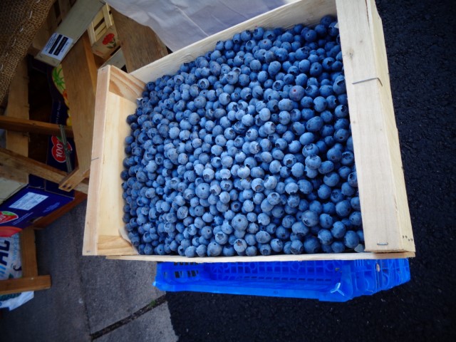 Des bluets d une grosseur exceptionnelle (Small)