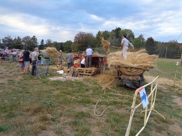 Marche d ete Ble farine (32)