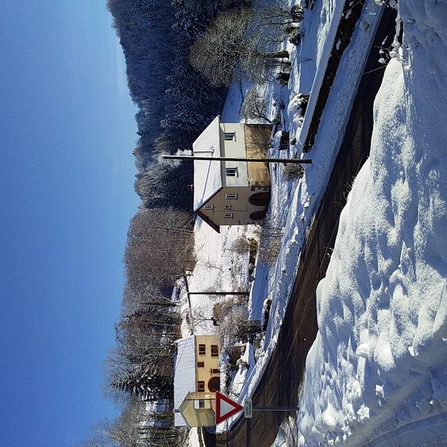 20210104_100312 (Medium)