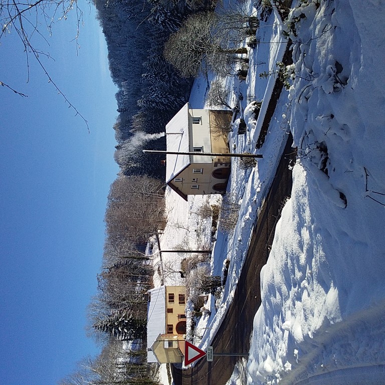 20210104_100322 (Medium)