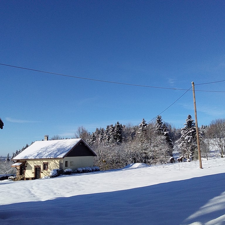 20210104_110947 (Medium)