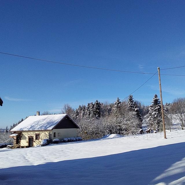 20210104_110947 (Medium)