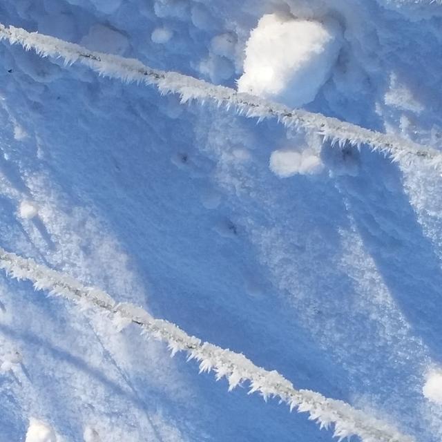 20210104_120226 (Medium)