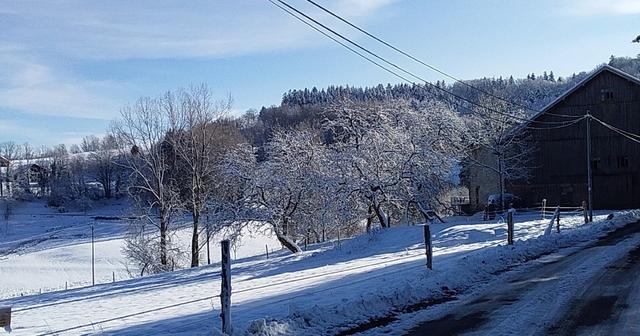 20210104_120456 (2) (Medium)