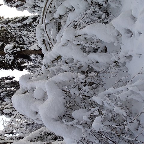 Neige vers la Beuille 2021 (15) (Small)