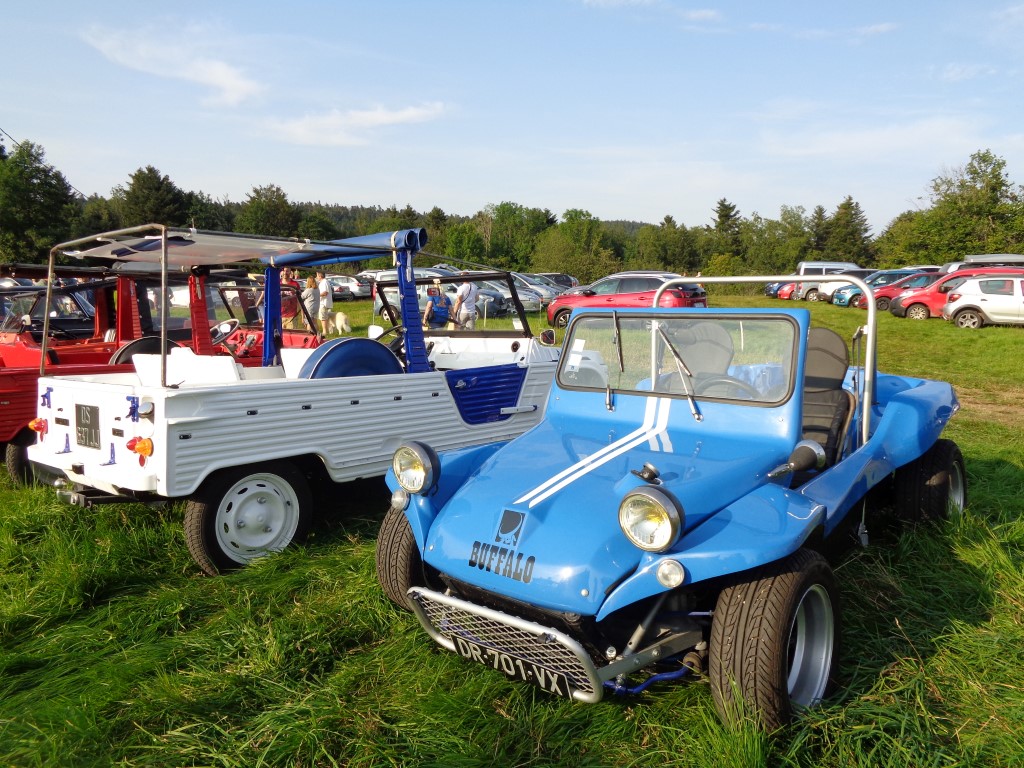 5 Vieilles mecaniques vehicules anciens (28) (Medium)