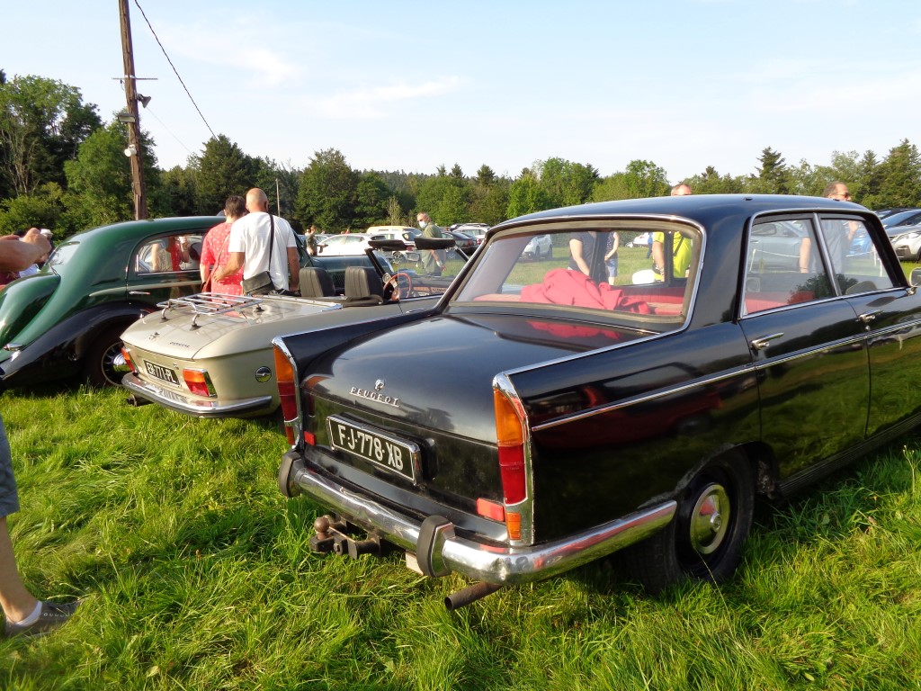 5 Vieilles mecaniques vehicules anciens (30) (Medium)