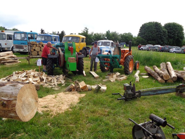 Vieux moteurs 2022 (94) (Small)