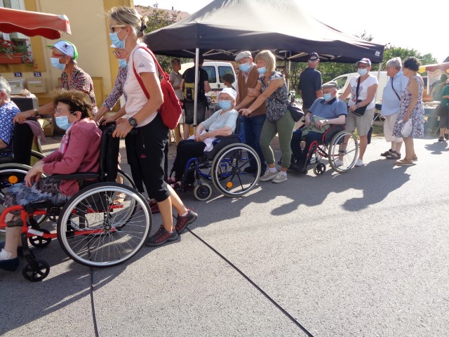 6 Petits fruits miel escargots plantes (24) (Small)