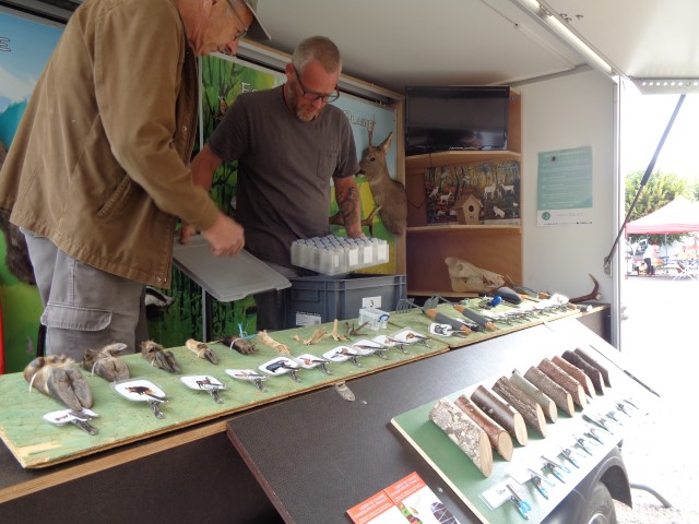 4 Chasse et nature (16) (Small)