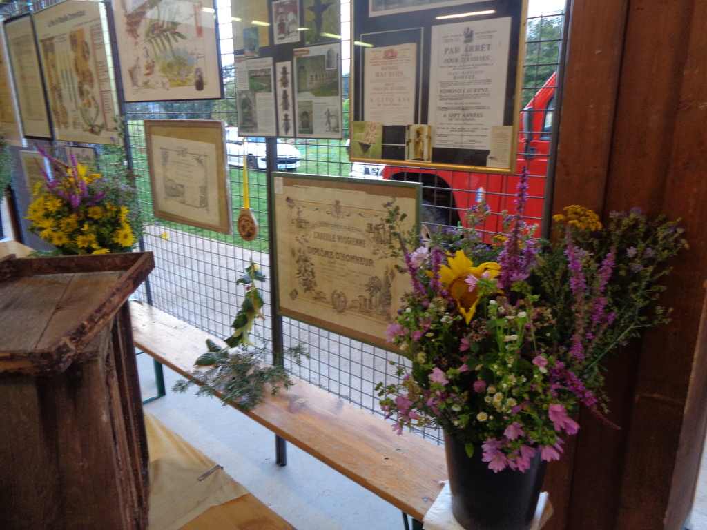 5 Marché d ete Bluet60.resized