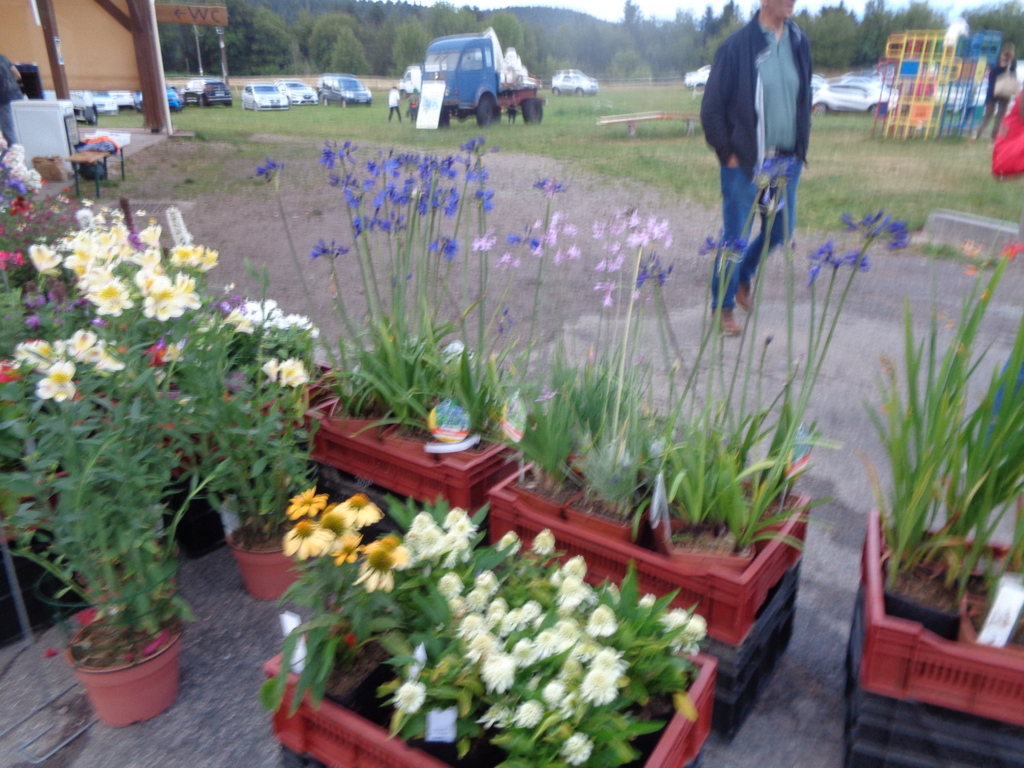 5 Marché d ete Bluet71.resized