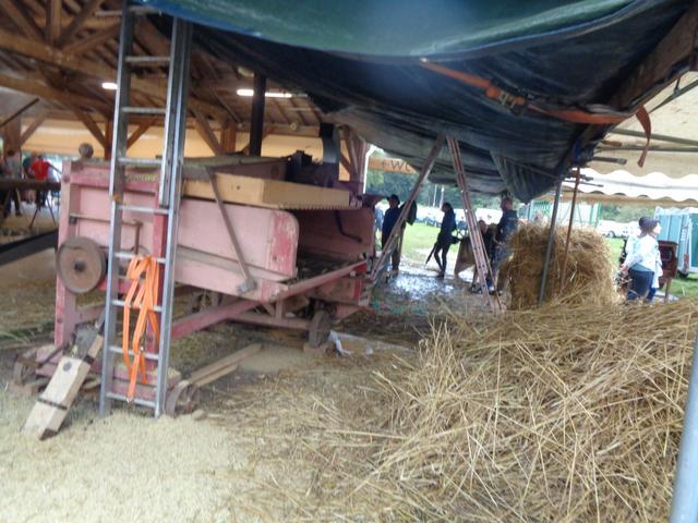 6 Marche d ete (8) (Medium)