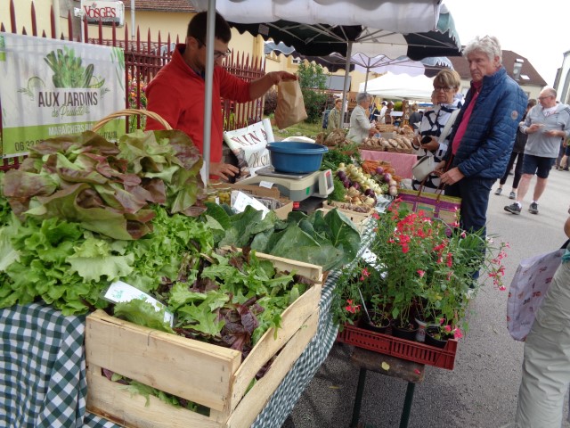 3 Marche d ete Musique (26) (Small)