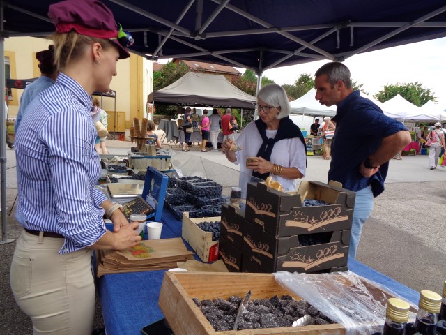 5 Marche d ete bluet plantes miel escargots (1) (Small)