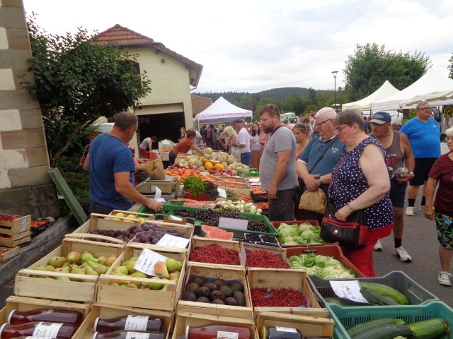 5 Marche d ete bluet plantes miel escargots (27) (Small)