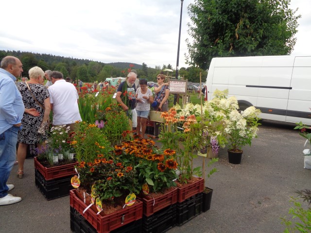 5 Marche d ete bluet plantes miel escargots (30) (Small)