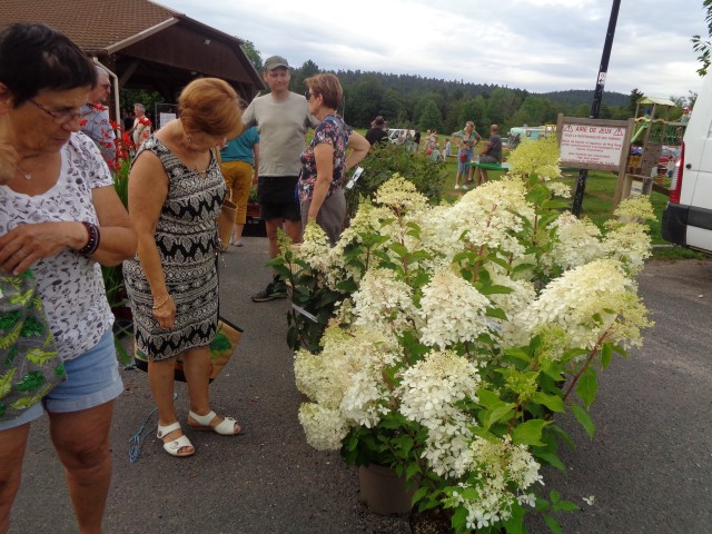 5 Marche d ete bluet plantes miel escargots (31) (Small)