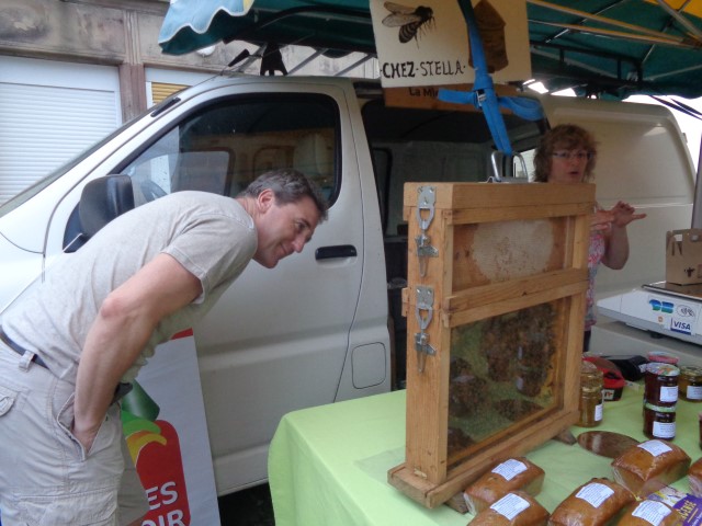 5 Marche d ete bluet plantes miel escargots (52) (Small)