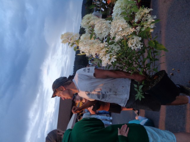 5 Marche d ete bluet plantes miel escargots (65) (Small)