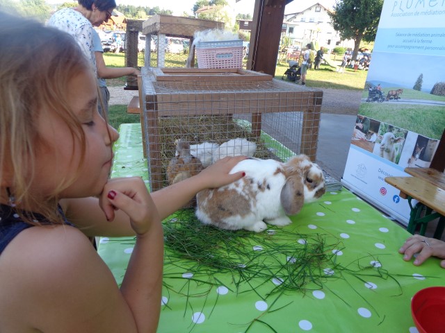 9 marche d ete animaux de la ferme (61) (Small)