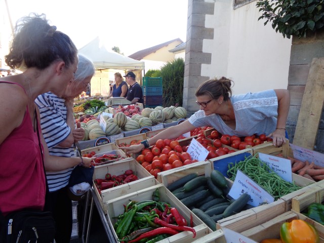 9 marche d ete animaux de la ferme (73) (Small)