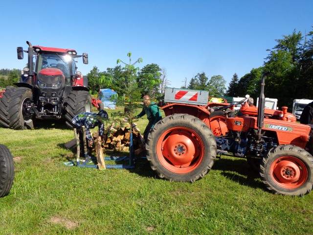 Vieux moteurs samedi soir 2025 (36) (Small)