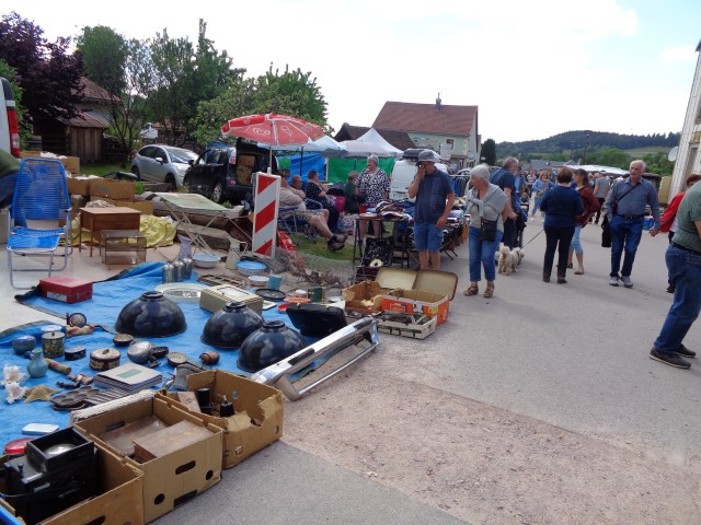 Vieux moteurs dimanche 2025 (82) (Small)