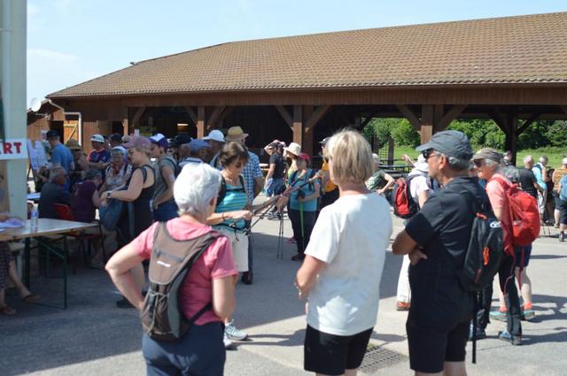 Marche Populaire 31 mai 2025C Schmidlin (2) (Small)