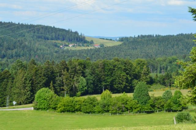 Marche Populaire 31 mai 2025C Schmidlin (25) (Small)