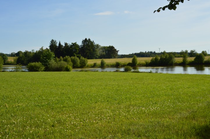 Marche Populaire 31 mai 2025C Schmidlin (26) (Small)