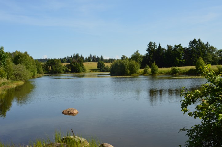 Marche Populaire 31 mai 2025C Schmidlin (27) (Small)